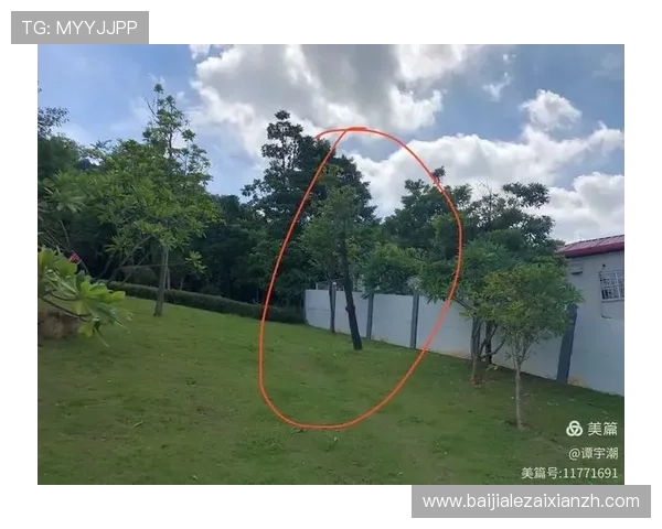 叶汉三株路技巧全方位解析让你在游戏中轻松应对各种战局变化