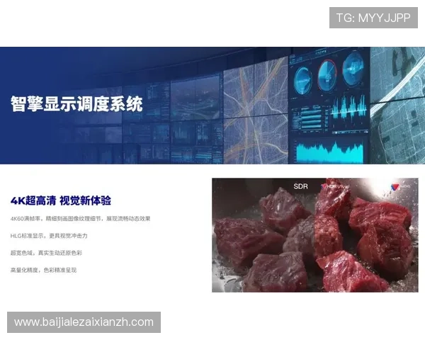 打造专业级视讯体验，选择靠谱视讯官网实现高清流畅观看的最佳方案