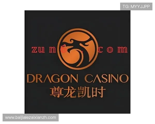 尊龙凯时百家乐官网多重安全措施保障玩家资金与个人信息安全